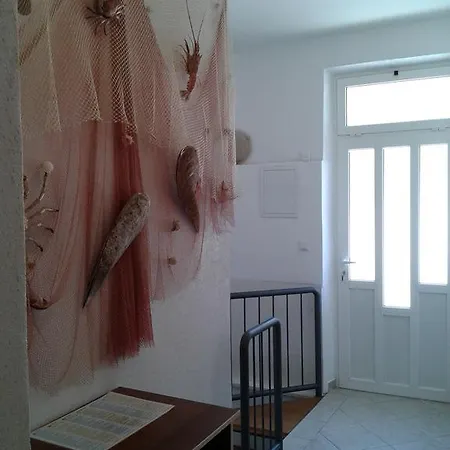 Apartment Toma Bajnice Directly *