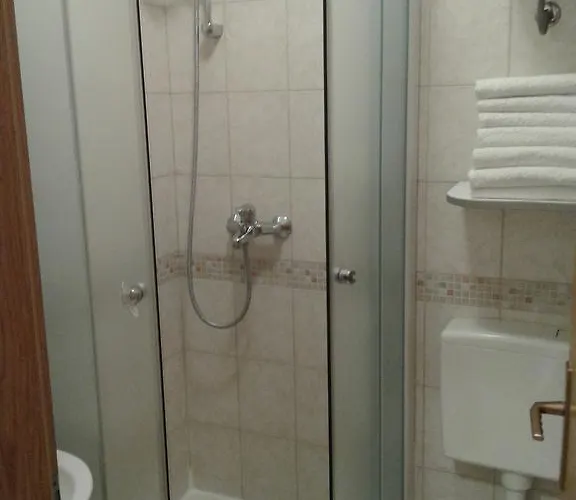 Toma Bajnice Directly